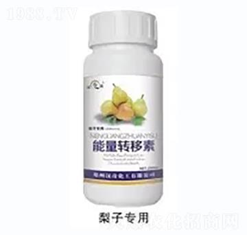 梨子能量轉(zhuǎn)移素-漢奇化工