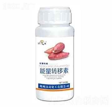 �t�������D(zhu��n)����-�h�滯��