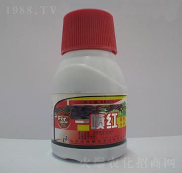 ���ь���һ���t-ِ�����