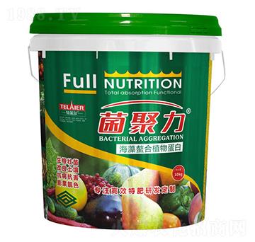 海藻螯合植物蛋白-菌聚力-特萊爾