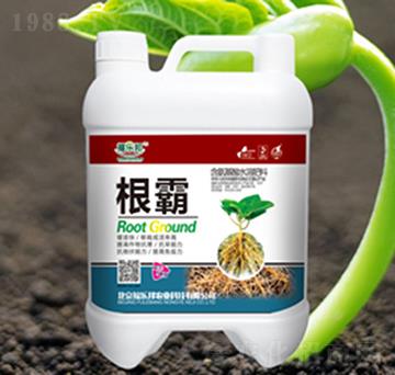 ����-������