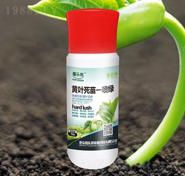 �S�~����һ���G-������