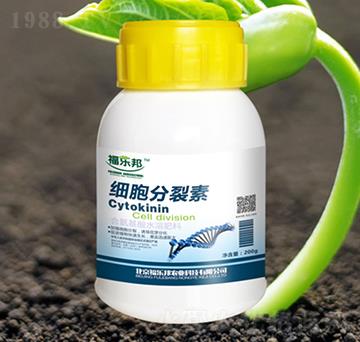 ����������-������