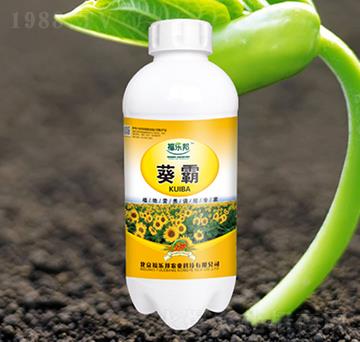 ����-������