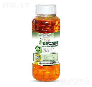 ��������-ʥ�ϝ�