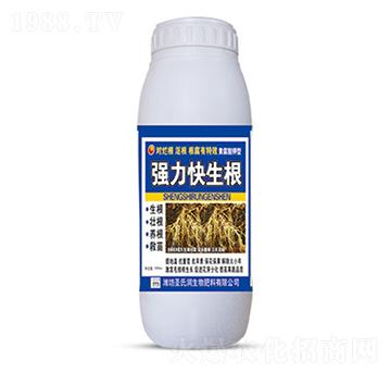 ��(qi��ng)��������-ʥ�ϝ�