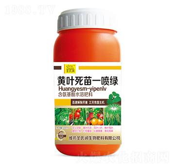 �S�~����һ���G-ʥ�ϝ�