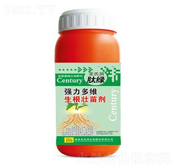 ��(qi��ng)����S�������焩-ʥ�ϝ�