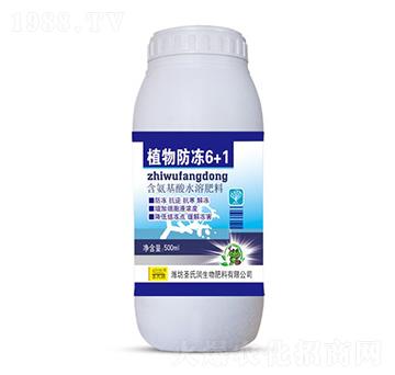 ֲ�����6+1-ʥ�ϝ�