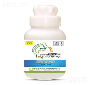 �Ǵ��-ʥ�ϝ�