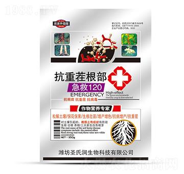 ���ز��������120-ʥ�ϝ�