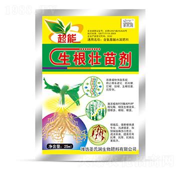 �������焩-ʥ�ϝ�