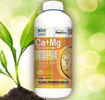 �p���}�V-������