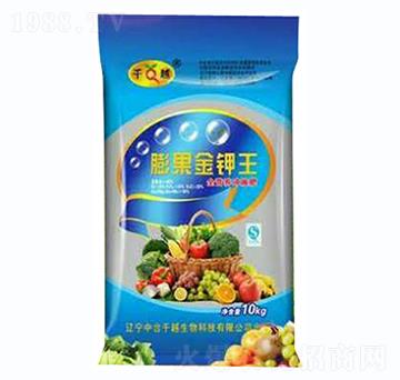 �����������{(l��n)����-ǧԽ