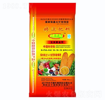 ���׌��Ó����19-19-19-ǧԽ