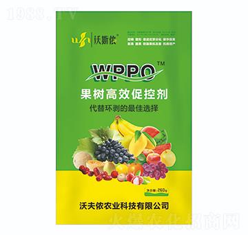 �����Ч�ٿ؄�-�ַ�z