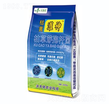 枯草芽孢桿菌-枯黃灌神-沃夫儂