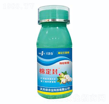 �޻�����-�޶���-�ַ�z