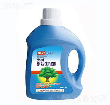 �������������-һ������(l��i)