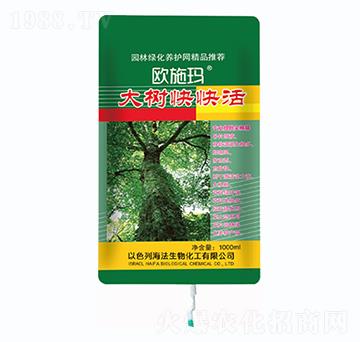 ������-һ������(l��i)