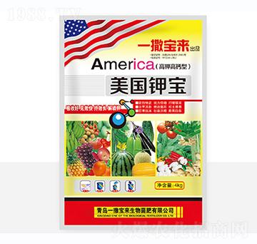 美國鉀寶-一撒寶來
