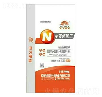 小麥追肥王-榮大肥業(yè)