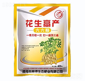 花生高產(chǎn)-六六順-四季豐