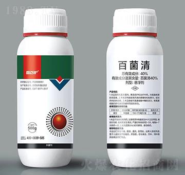 40%�پ���-�ΰ��o(h��)