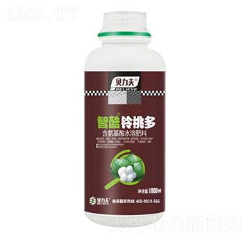 智酷鈴桃多-貝力夫-德爾豐