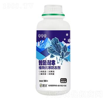 智酷耐寒植物防寒抗凍劑-德爾豐
