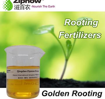 黃金生根-生根肥-滋百農(nóng)