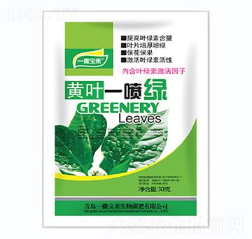 �S�~һ���G-һ������