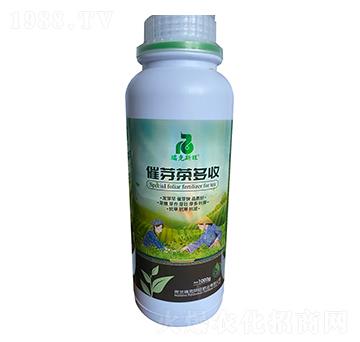 催芽茶多收-瑞克斯旺