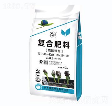 復合肥料19-19-19-騰博肥業(yè)