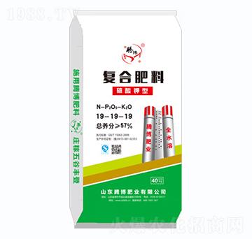 40kg硫酸鉀型復合肥料19-19-19-騰博肥業(yè)