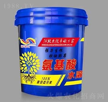 膨果型氨基酸水溶肥-大化肥業(yè)