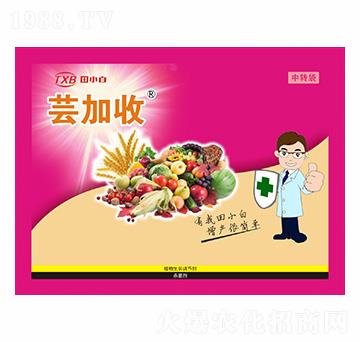 ȫ�I�B(y��ng)����߮a�ײ�-�|����-��С��