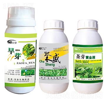 早芽+茶盛+茶芽黃金液-康普生