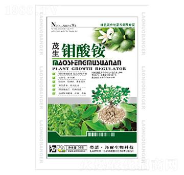 ï���f���@-������