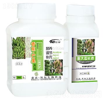 �㽶��â����-������