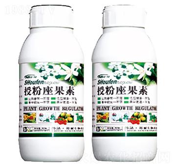 �ڷ�������-������