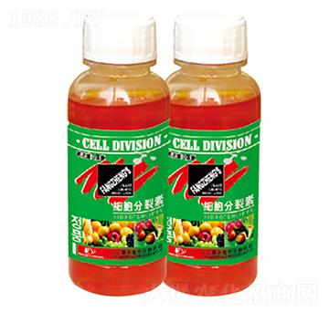 ����������-������