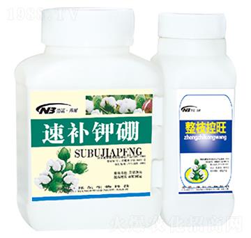 ���a���+��֦����-������