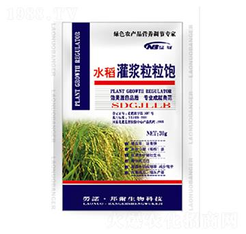 水稻灌漿粒粒飽-康普生