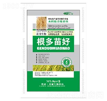 根多苗好-康普生