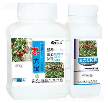 ����+������L��-������