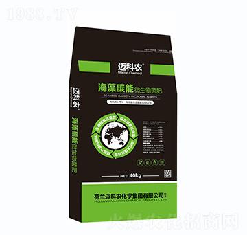 ����̼��΢�������-�~���r-�Έ�����