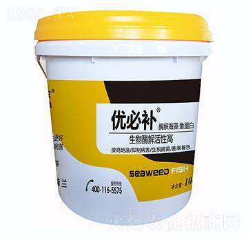 酶解海藻魚蛋白-優(yōu)必補(bǔ)-鑫垚生物