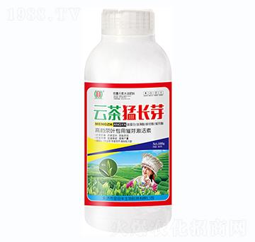 �Ʋ����Lѿƿ-�����S