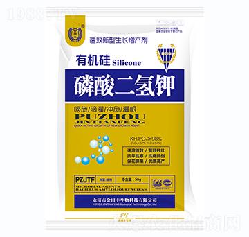 �ЙC����������-�����S